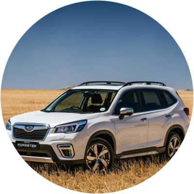 Отзывы на ремонт Удаление царапин на автомобиле Subaru Forester